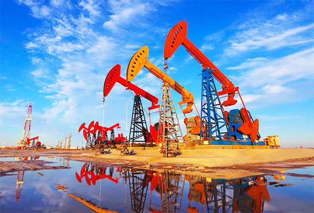 1742974182360458.jpg 14.jpg